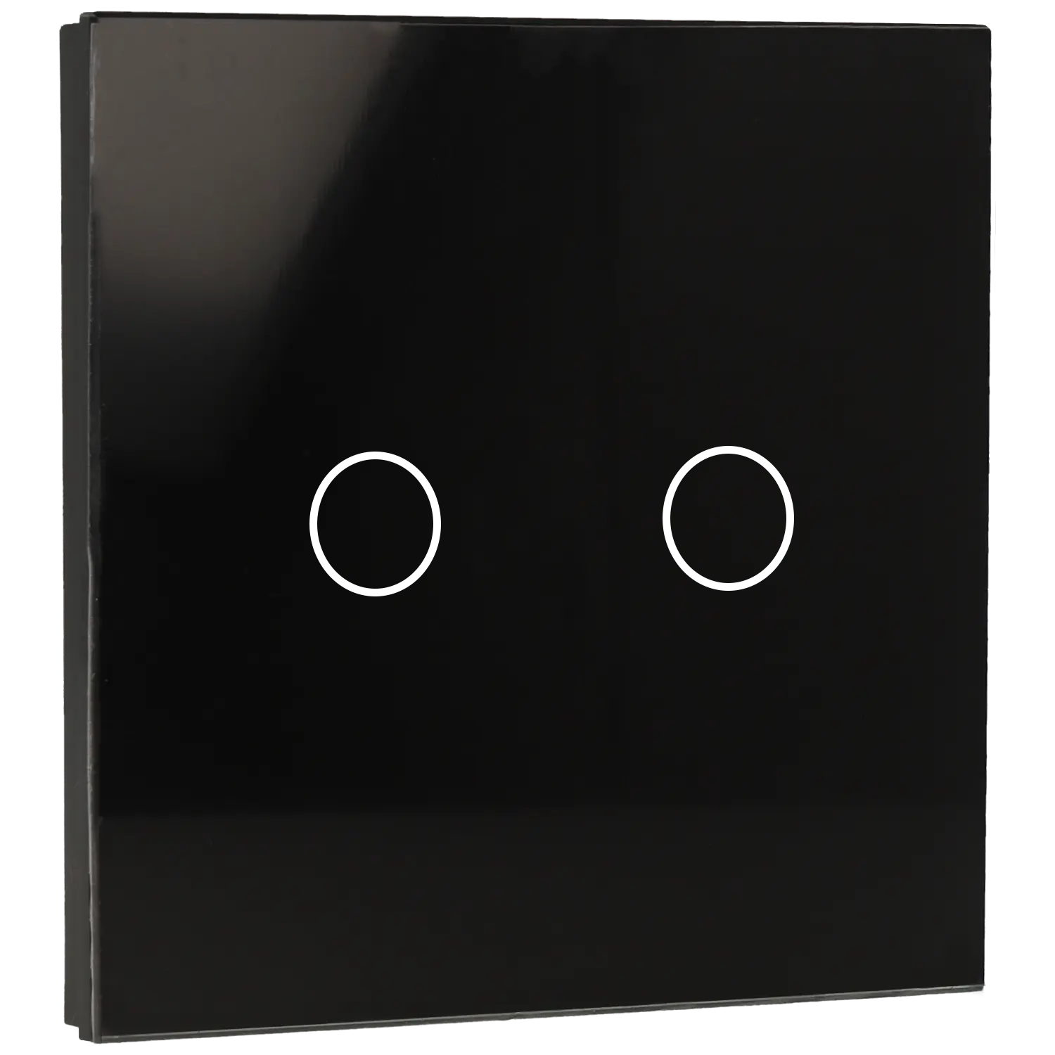 Panel de interruptor simple con 2 botones